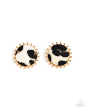 Load image into Gallery viewer, Cowhide Couture - Brown Paparazzi Accessories
