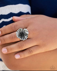 Glimpses of Malibu - Complete Trend Blend